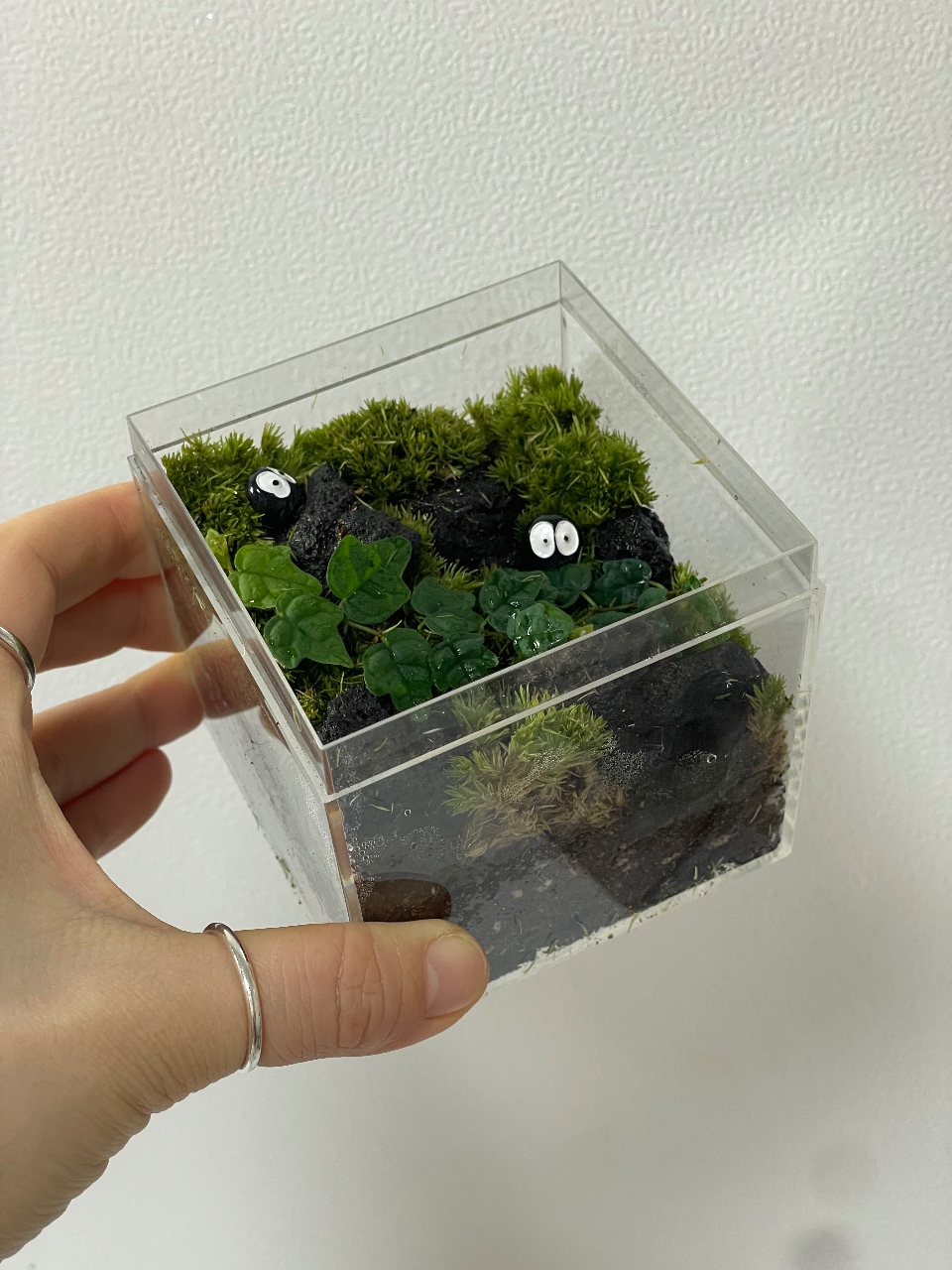 작은 테라리움 속 나만의 제주 🌿🛘✨