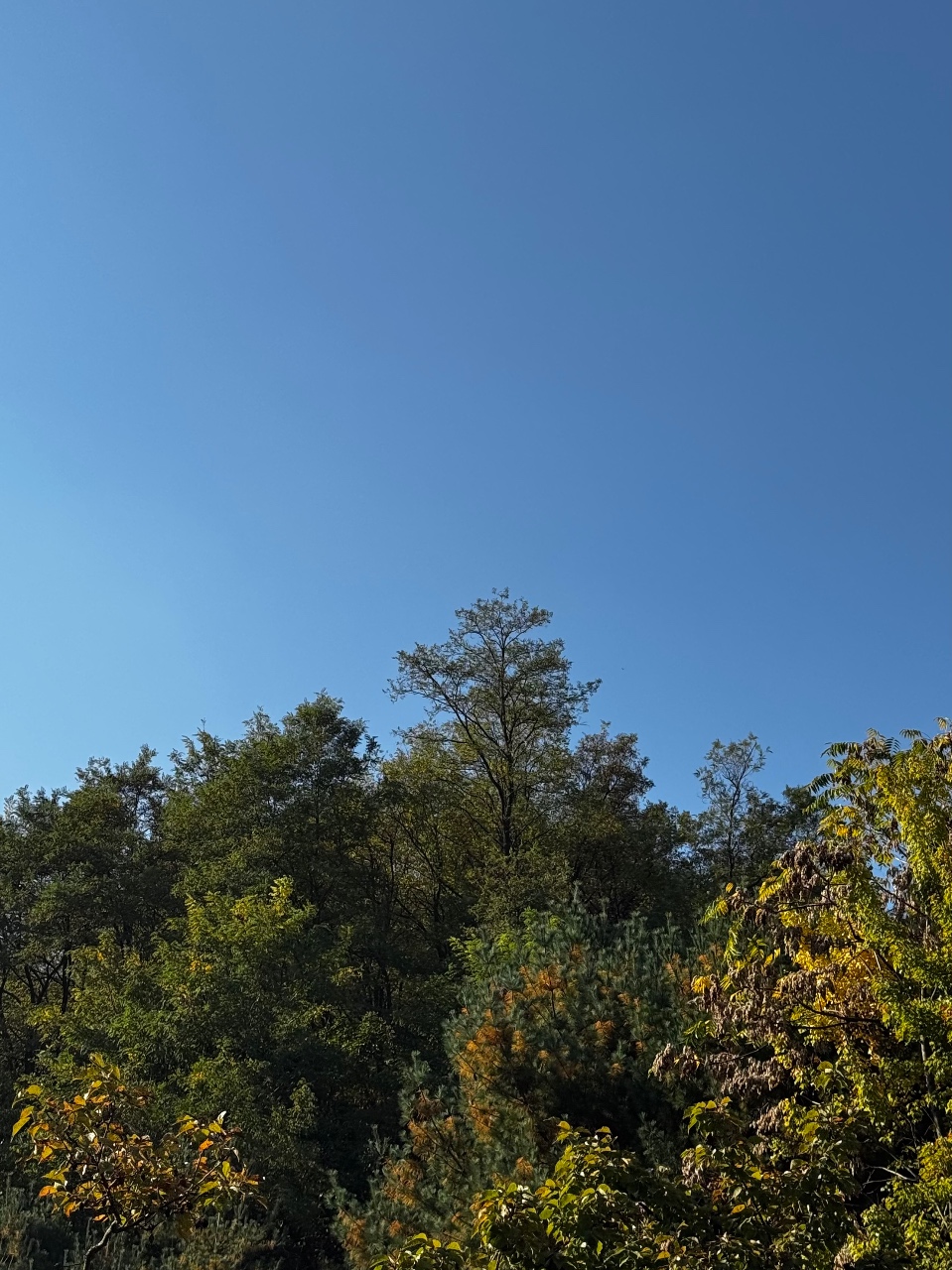 선선하네요