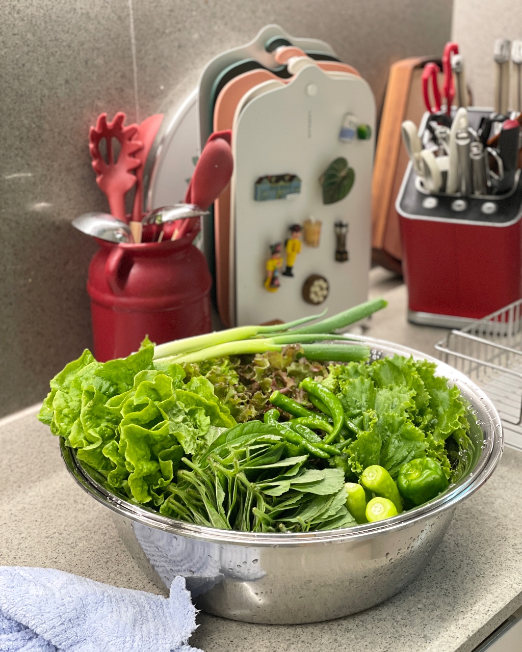 텃밭 작물로 장아찌 만들기 🥬