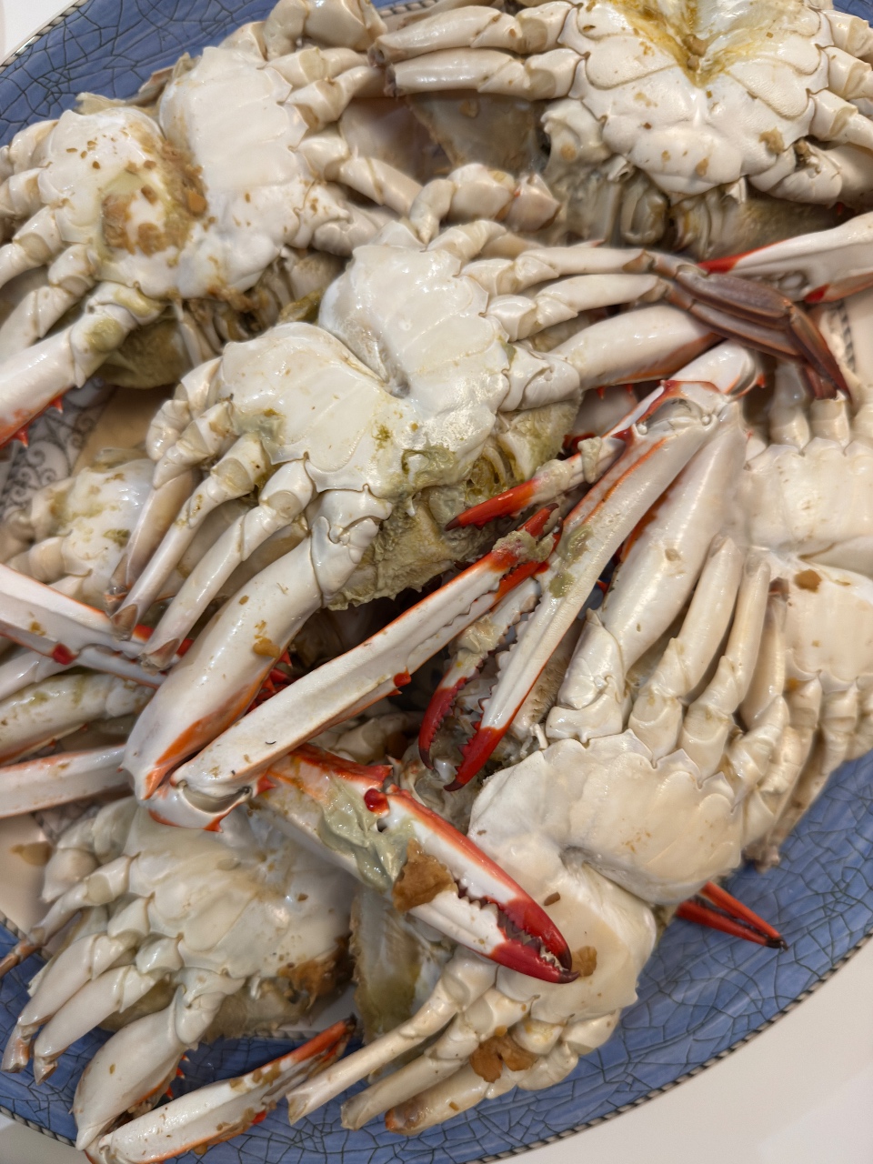 꽃게가 제철🦀