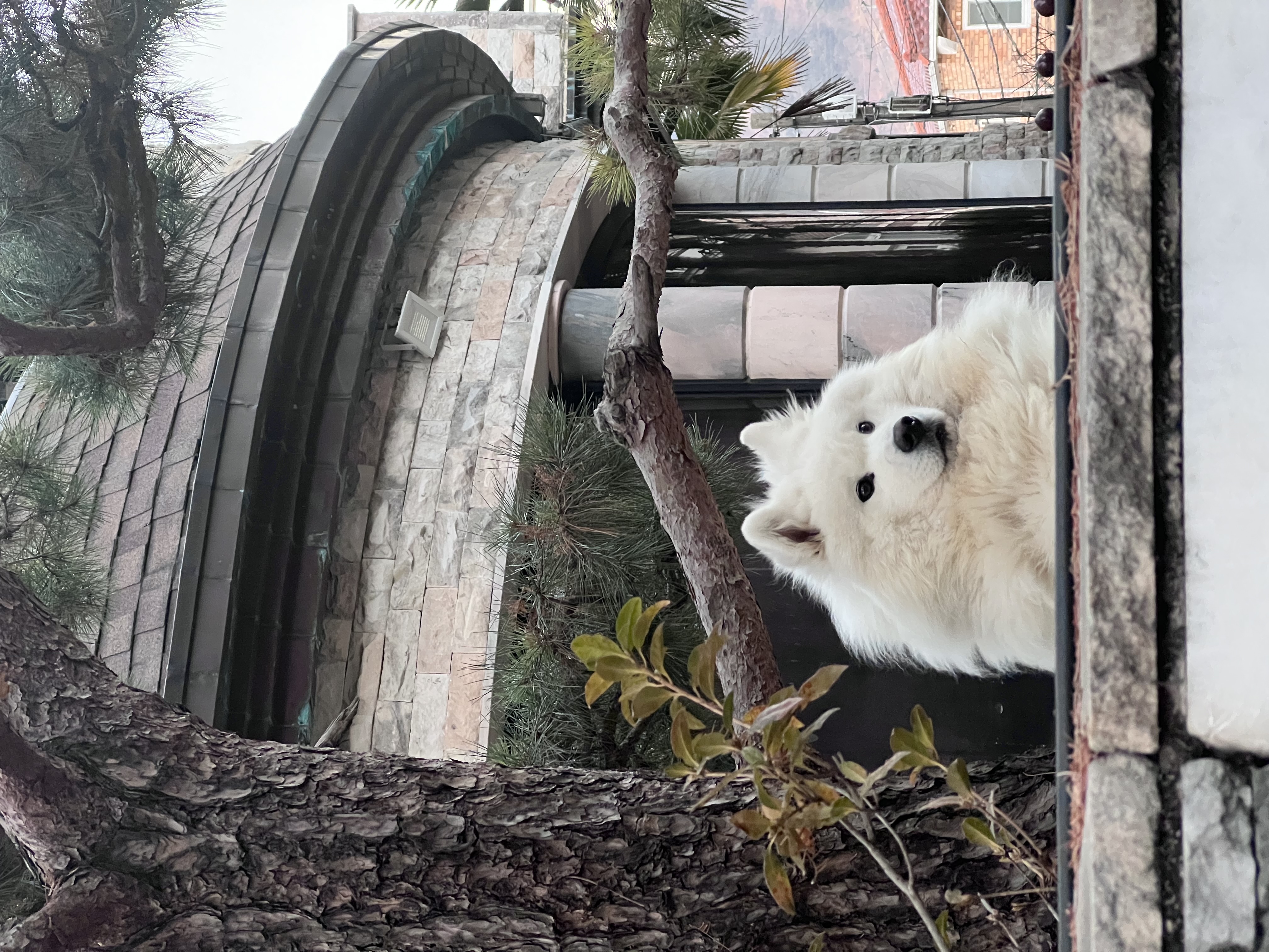 첨부파일