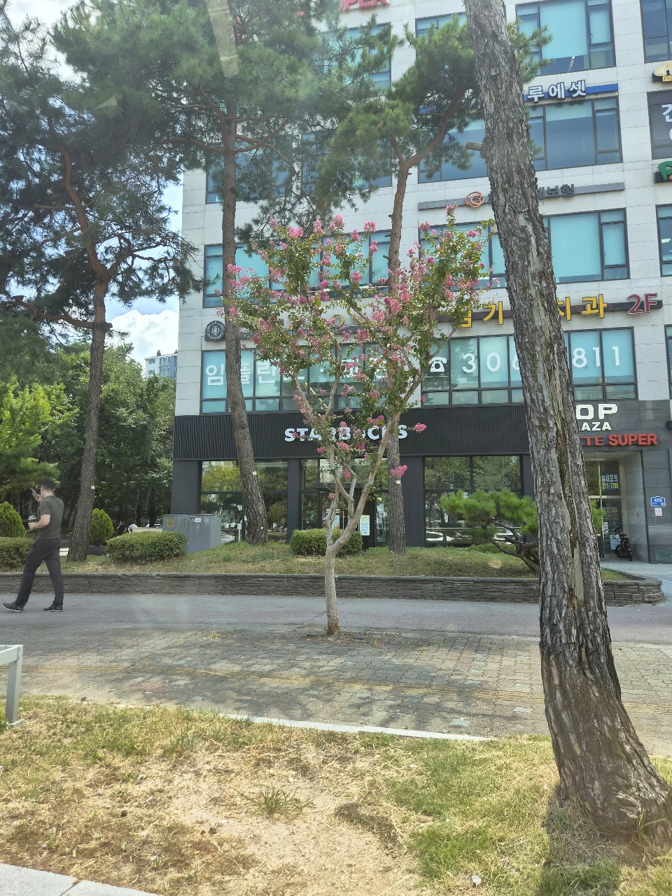 모닝커피