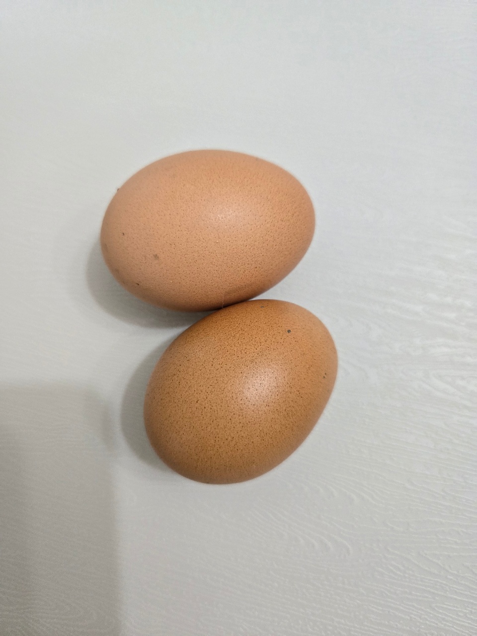 계란도 잘 먹어요