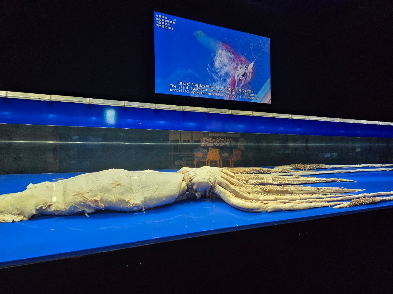 사진도 된다하니