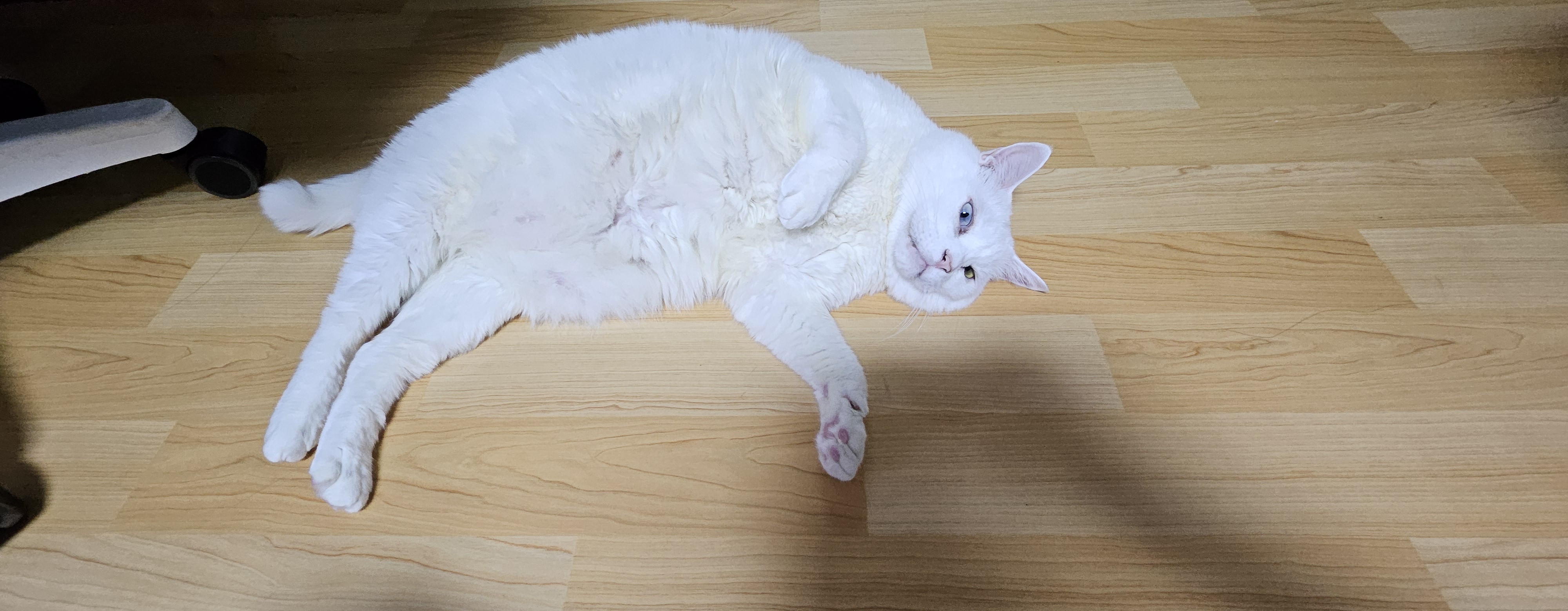 첨부파일