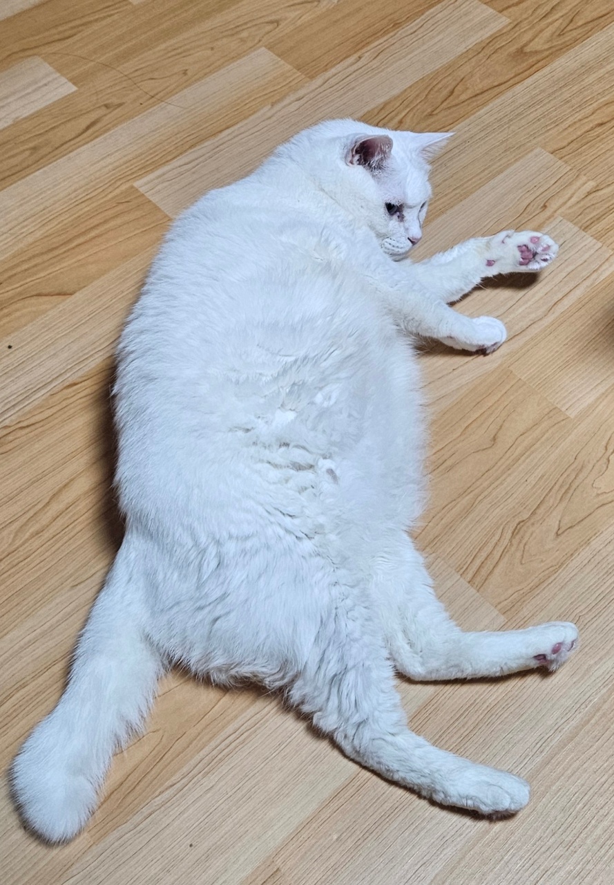 엄마 간다~!