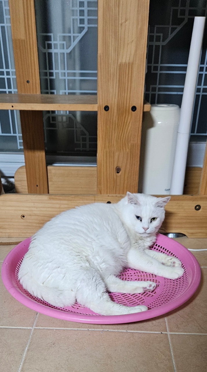 김빠빠~~ 까까 묵자!!