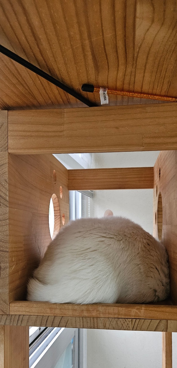 김궁디씨~~~