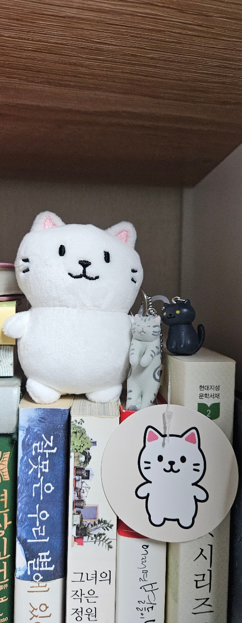 야옹이를 들였어요~