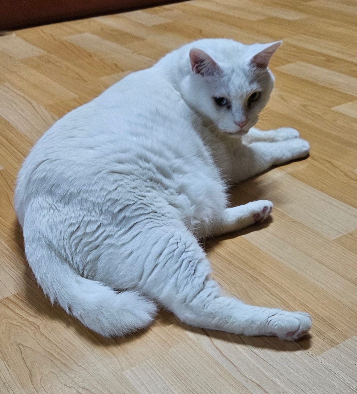 가자마자~