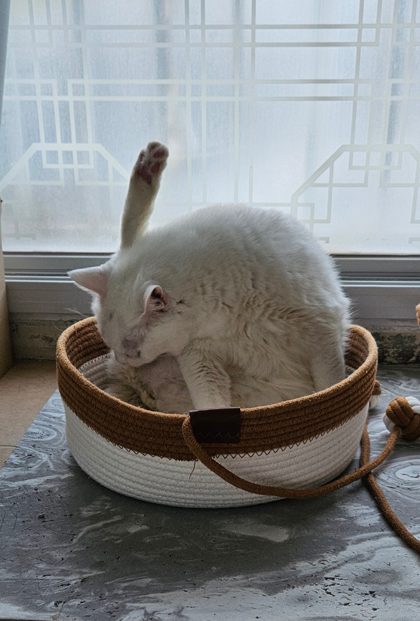 하이파이브
