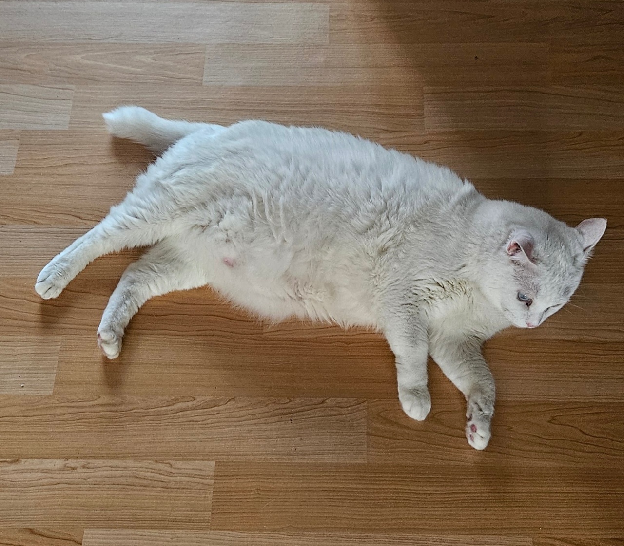 눕방 시위