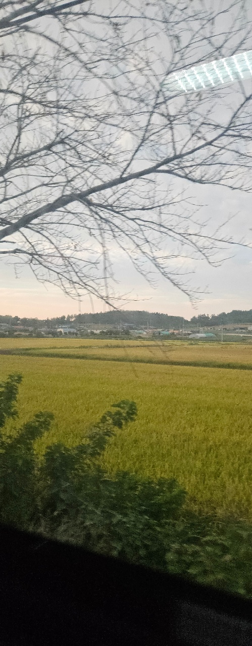 길고 짧게 다시 집으로~