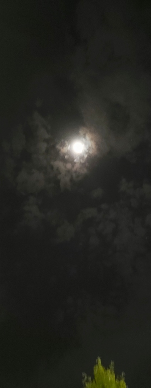 하늘 참 이쁜데....