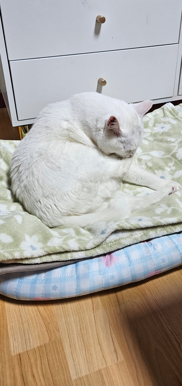 최선을 다해 뻗은 다리