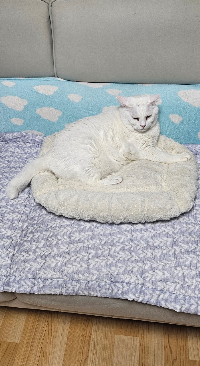 출근길 비가 쏟아져요