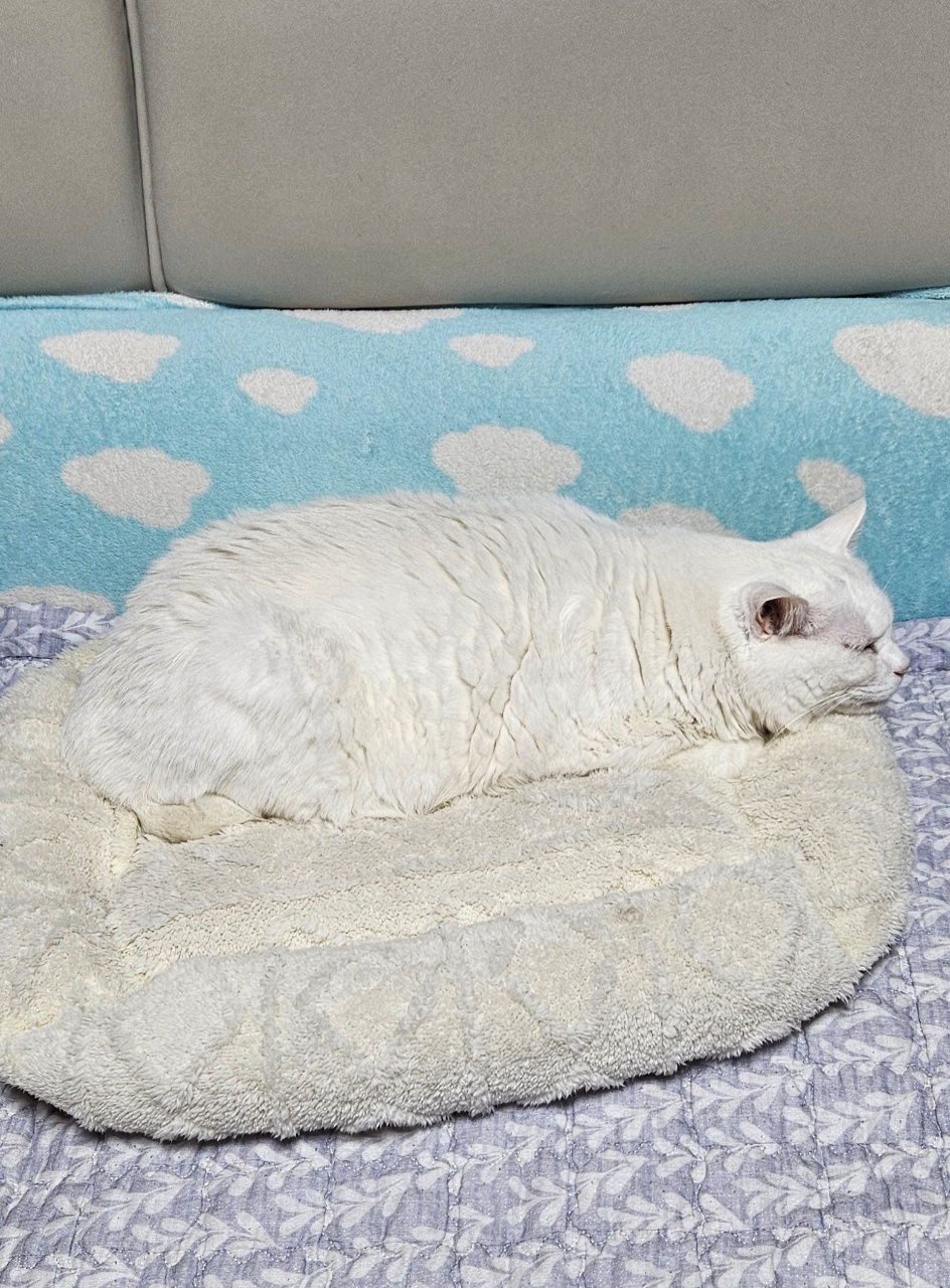 너는 편했고 나는....