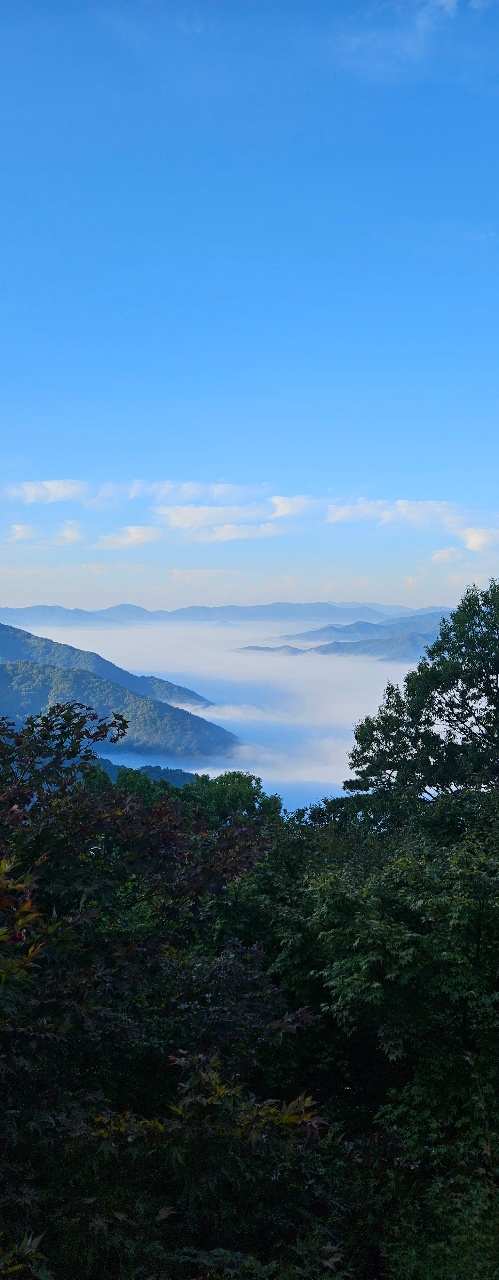 운해 보러 다시 가고픈~