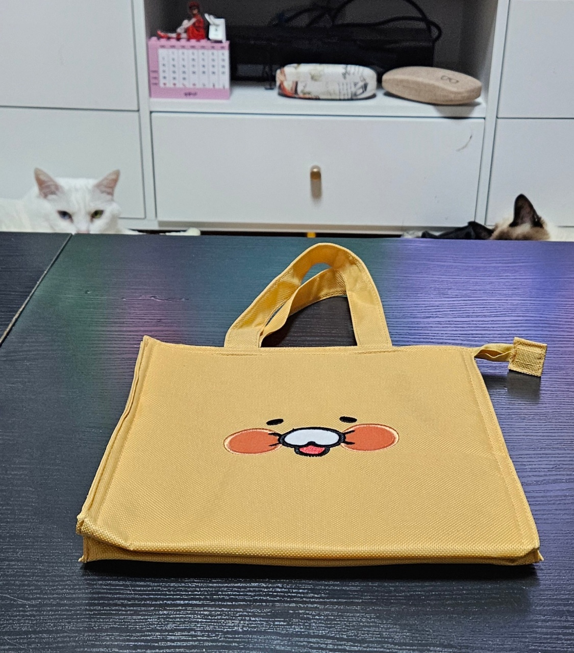 가을은 춘식이로~