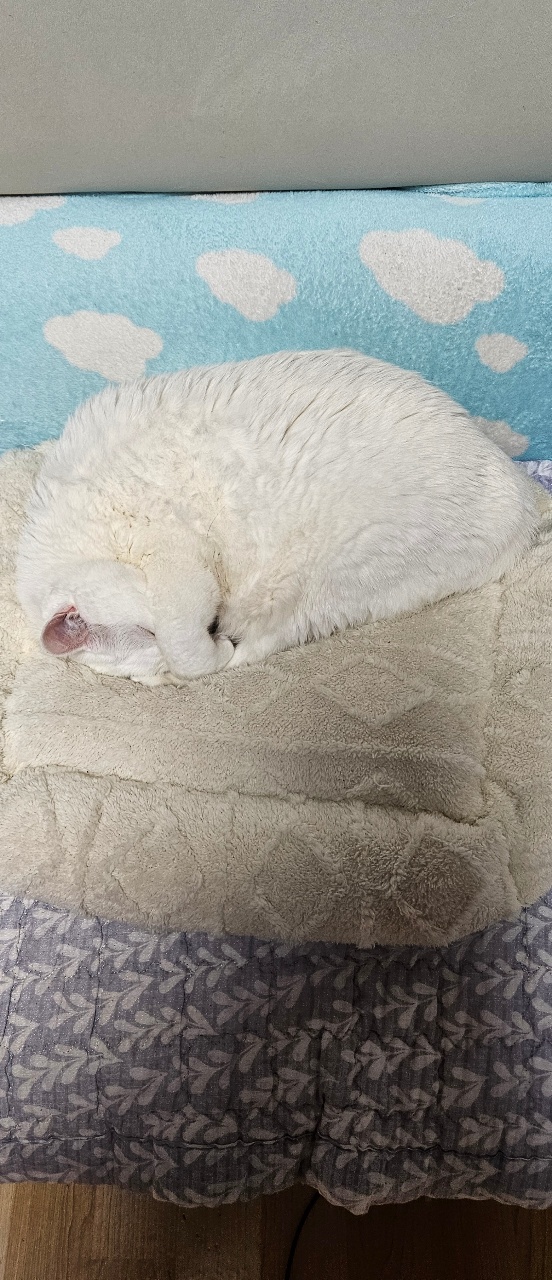 행복한 밤 되세요