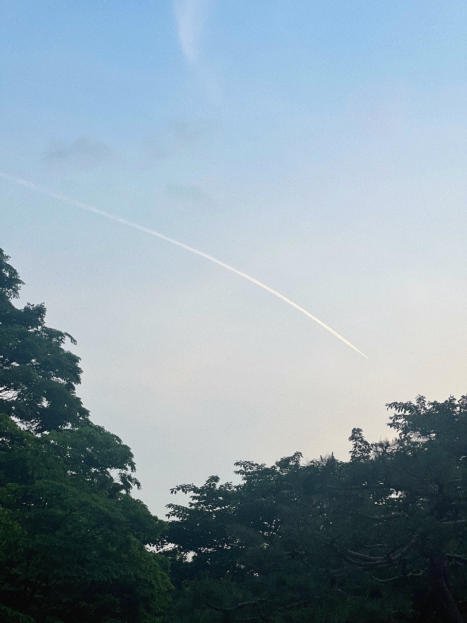 제 사진첩에는… 🤳