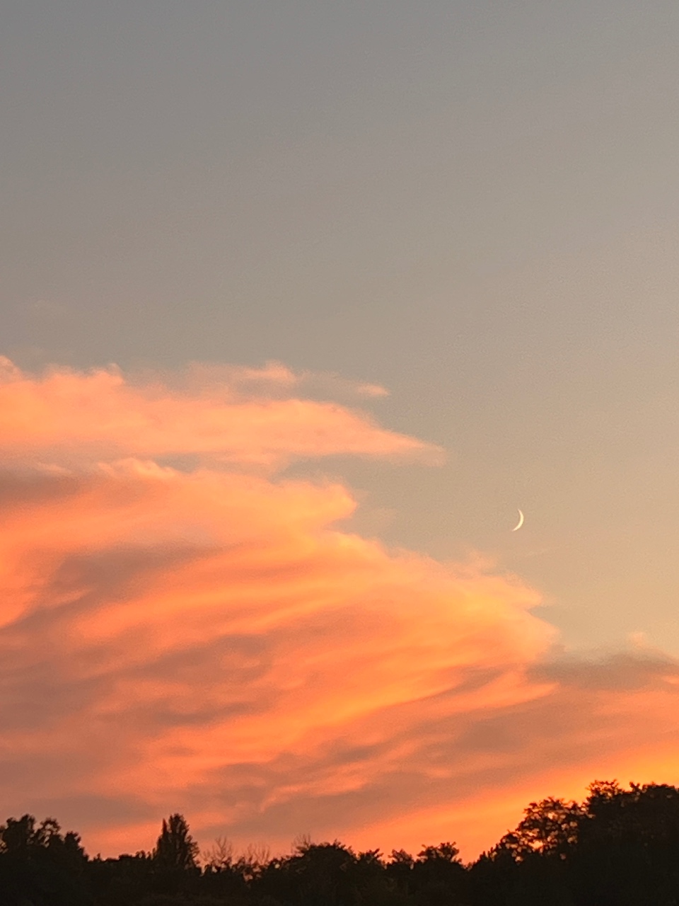 목요일 밤, 찰나의 뷰 🌙