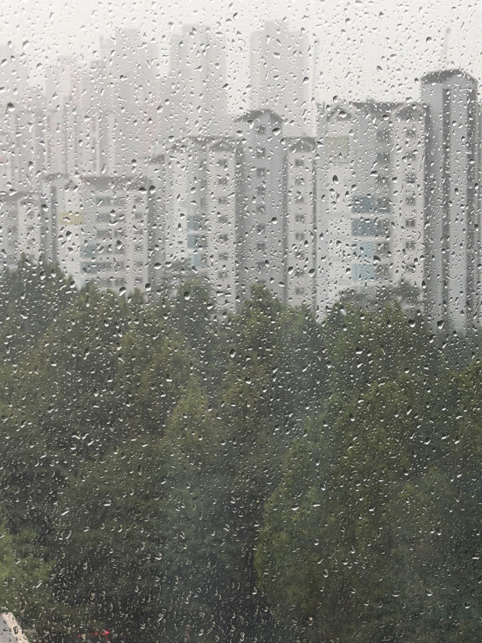 어제도, 오늘도 비 ☔️