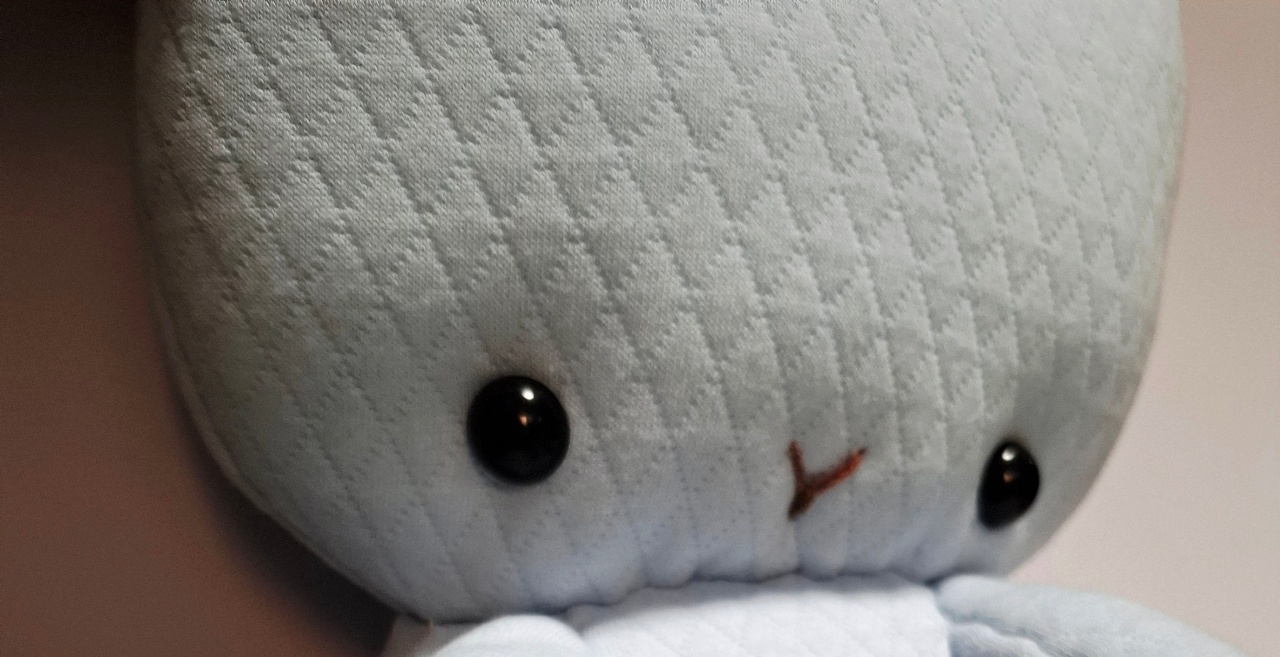 오늘은 시무루기