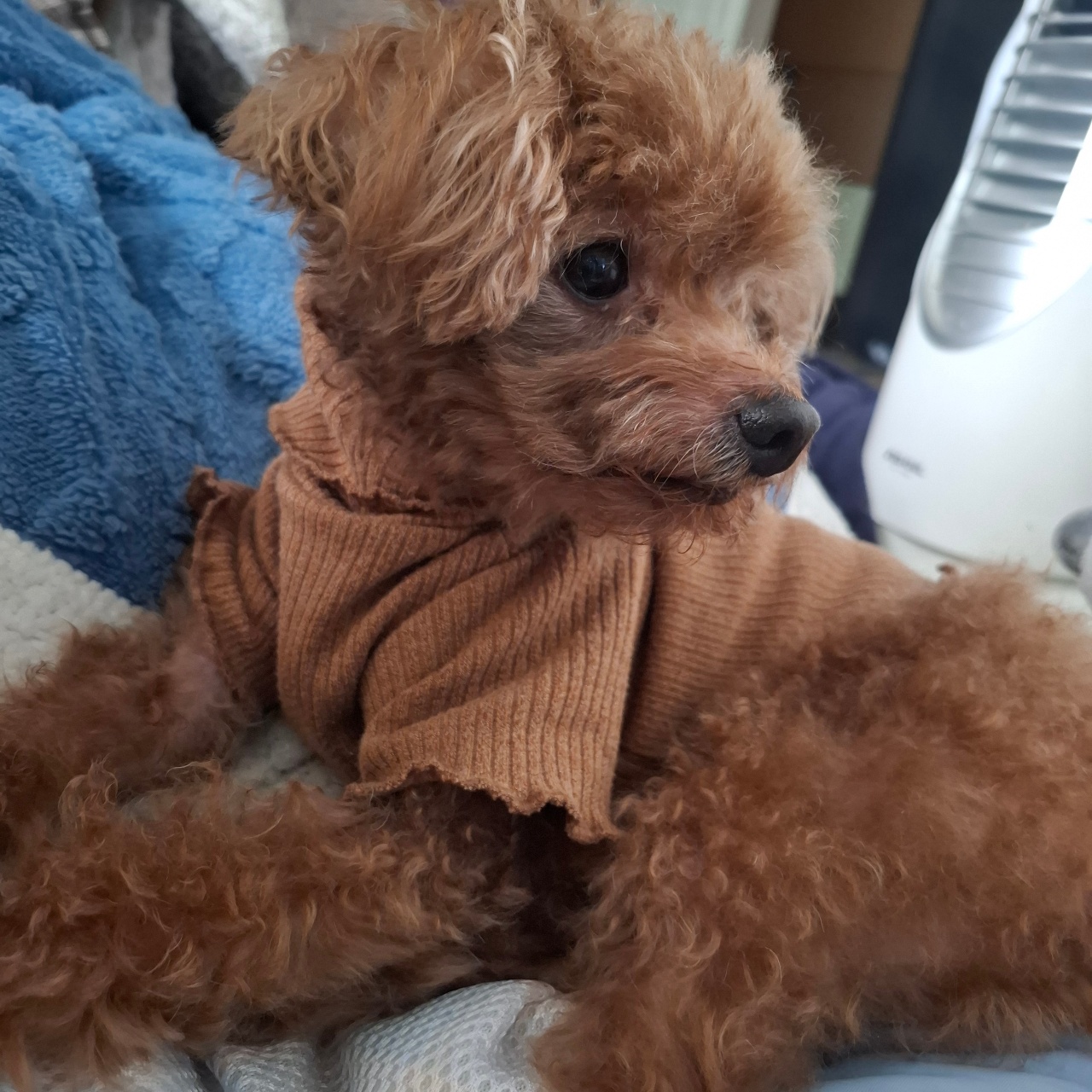 요염하도다