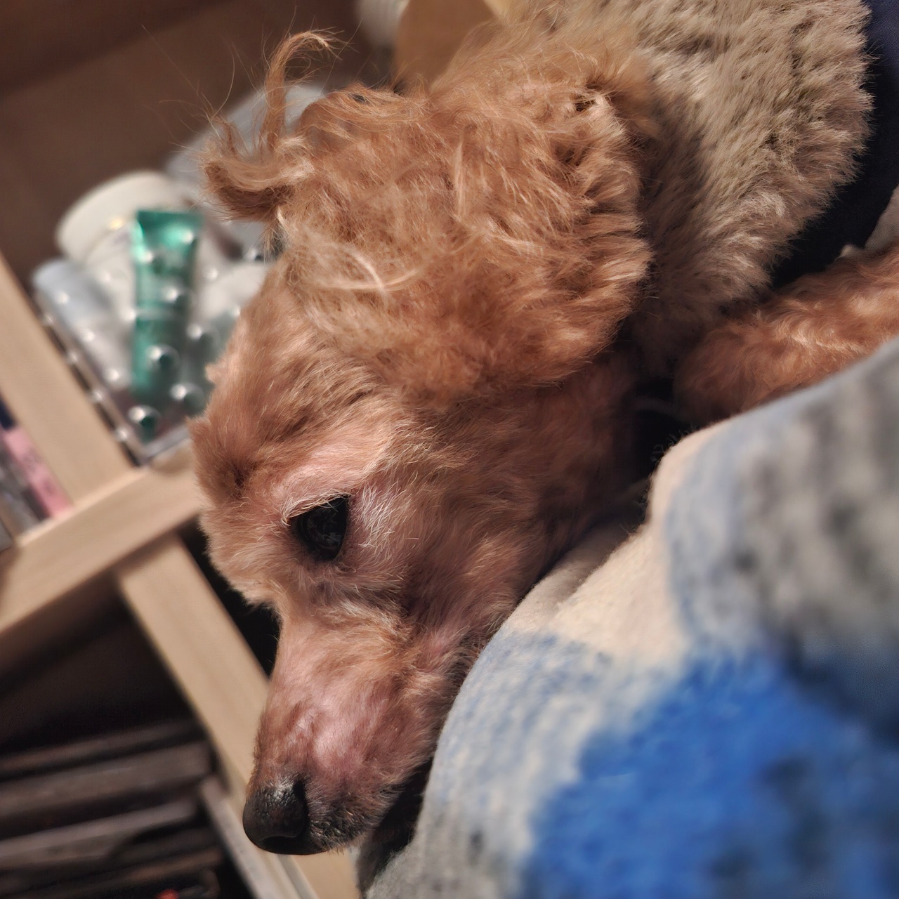 우울하다...