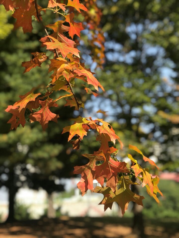가을을~🍁🎵