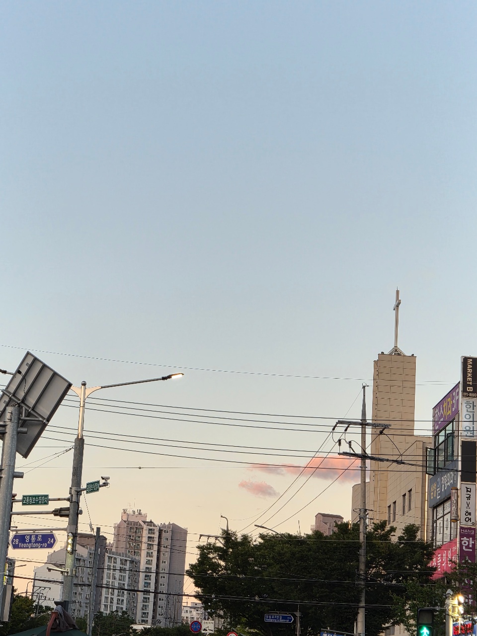 제법 가을.