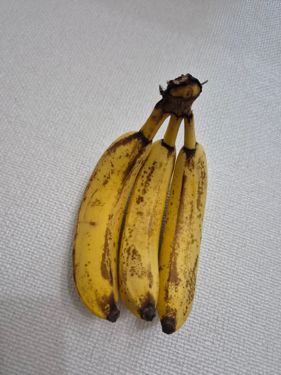 바나나🍌