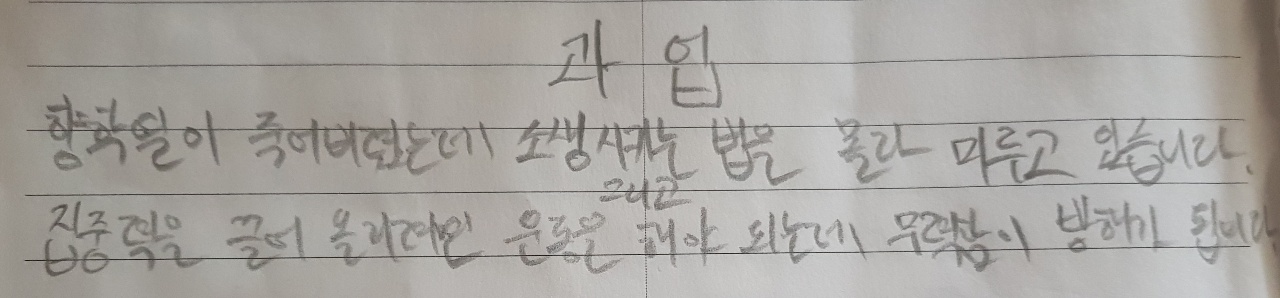 탐구 일기