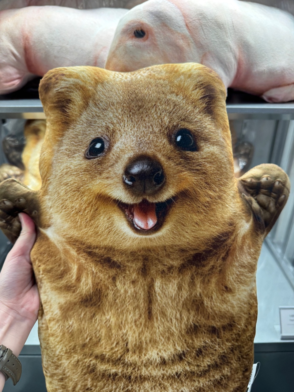 오디세이