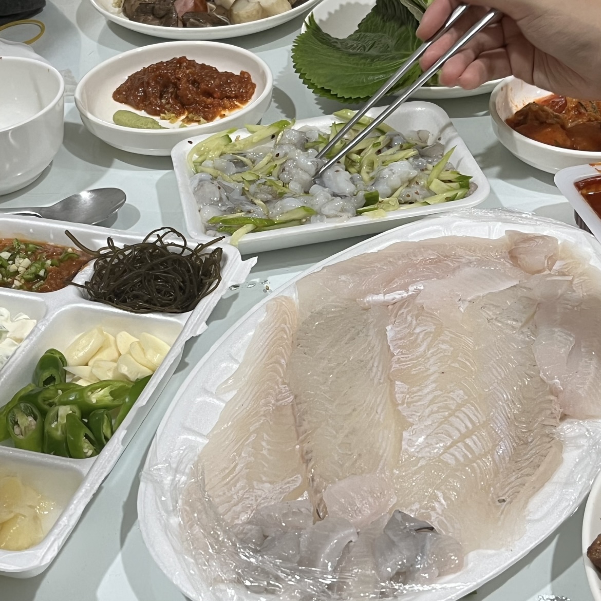 산낙지