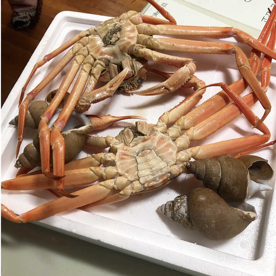해산물파티