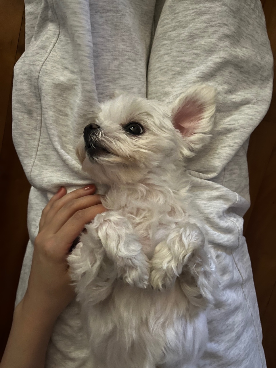 눕눕