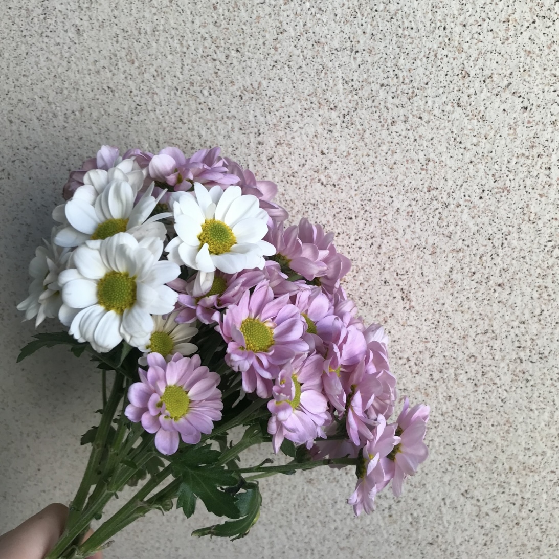 꽃꽃