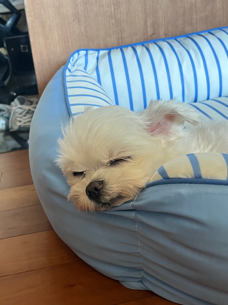 zzzz