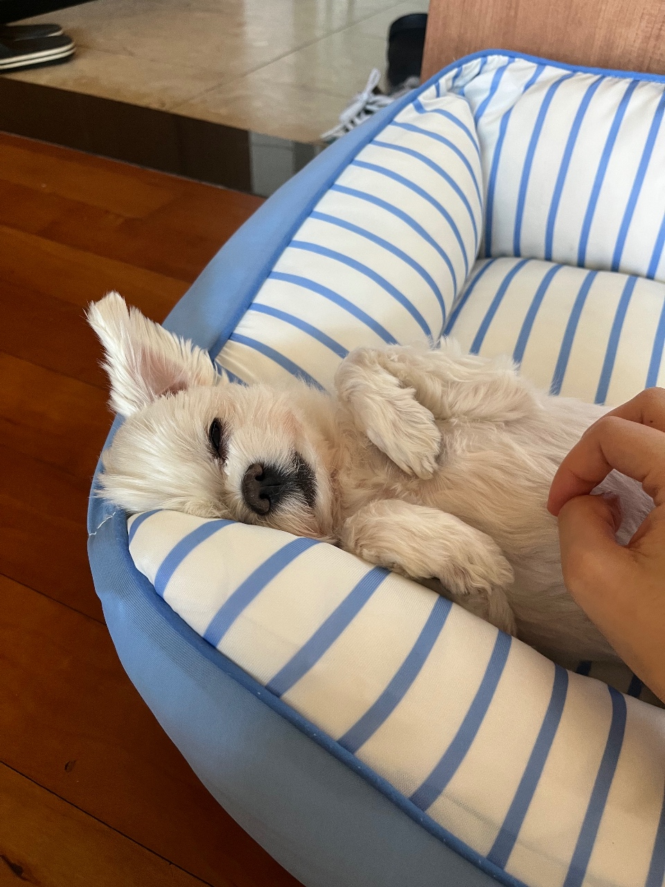 힐링타임