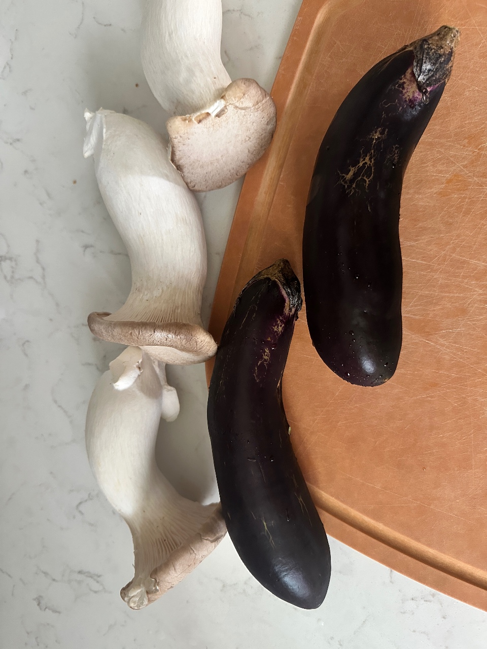가지버섯무침 🍄‍🟫🍆먹고 산책 