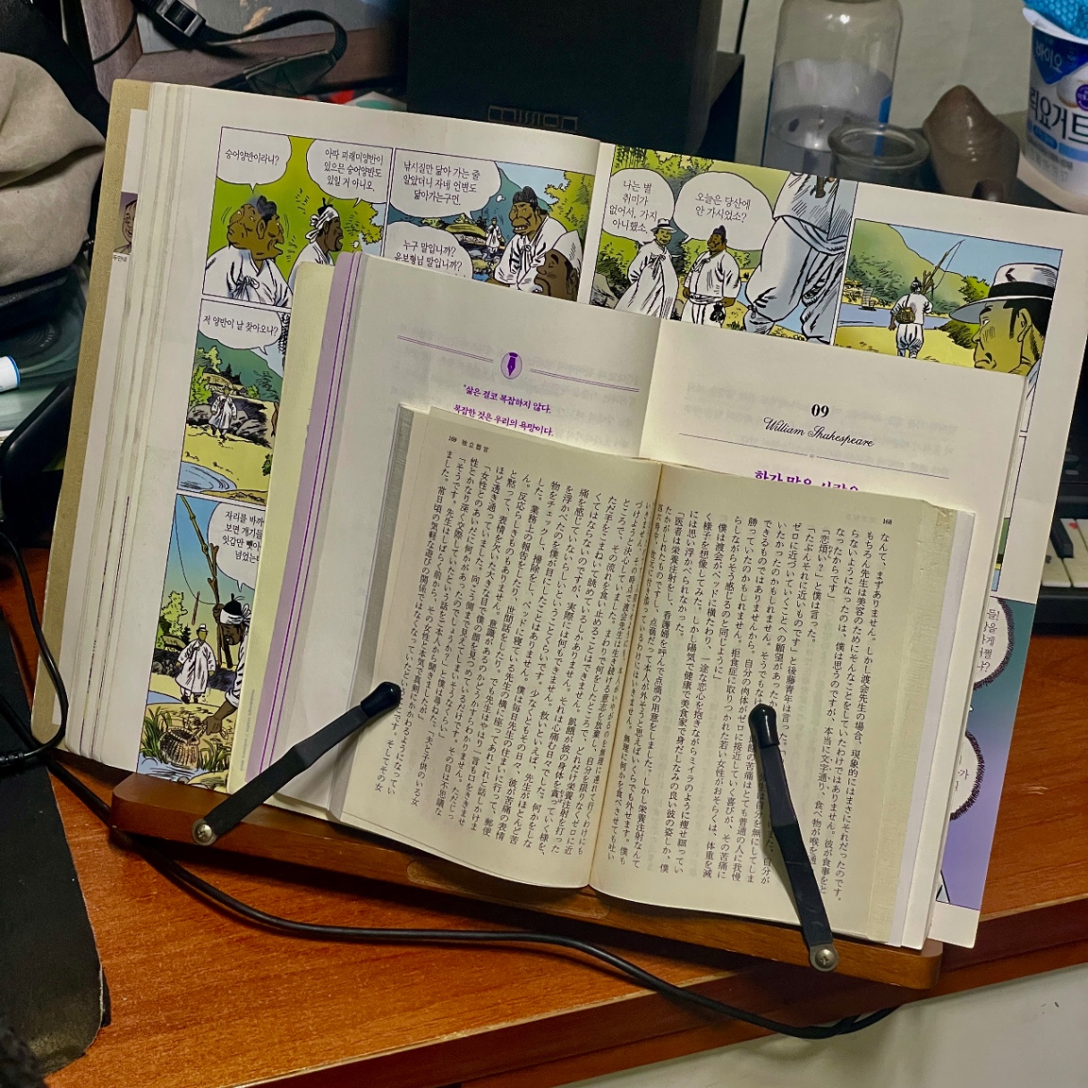 병렬 독서