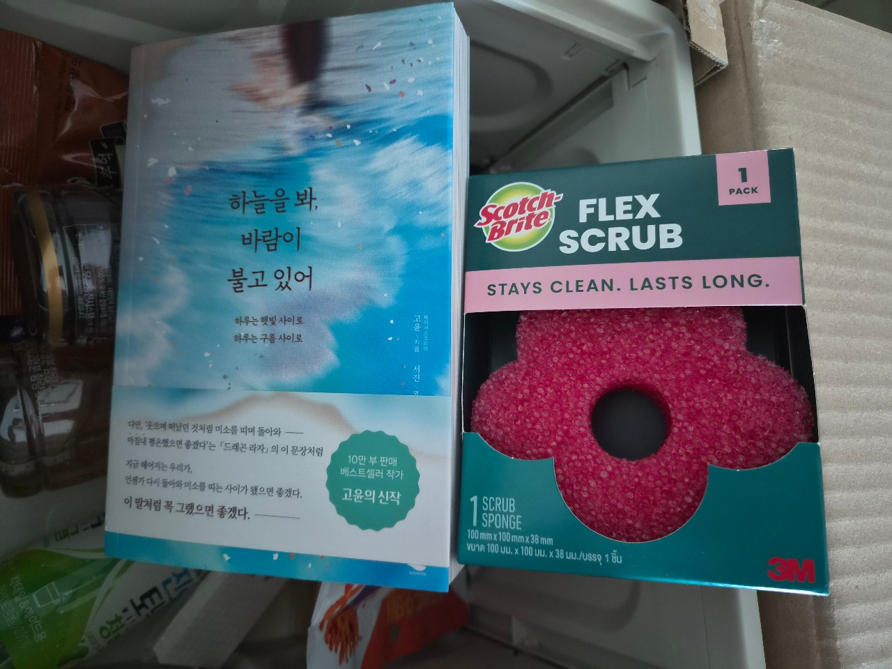 책과 주방용 스크럽 스펀지가 함께 놓여 있다.
