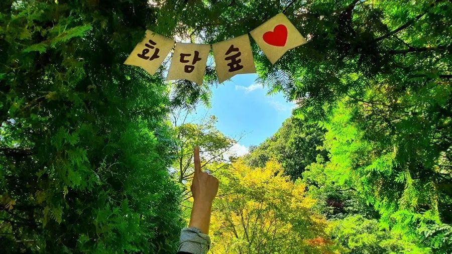 화담숲 또 가고 싶어요~