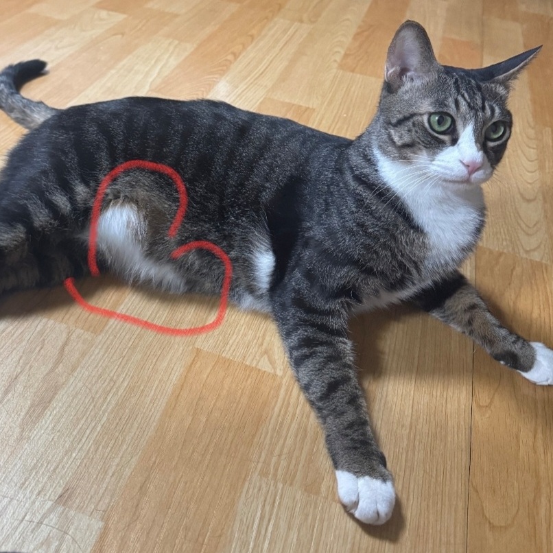 첨부파일