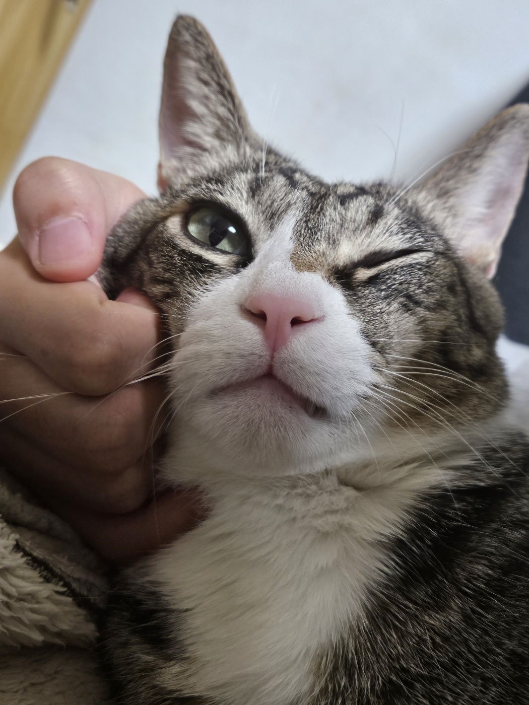 첨부파일