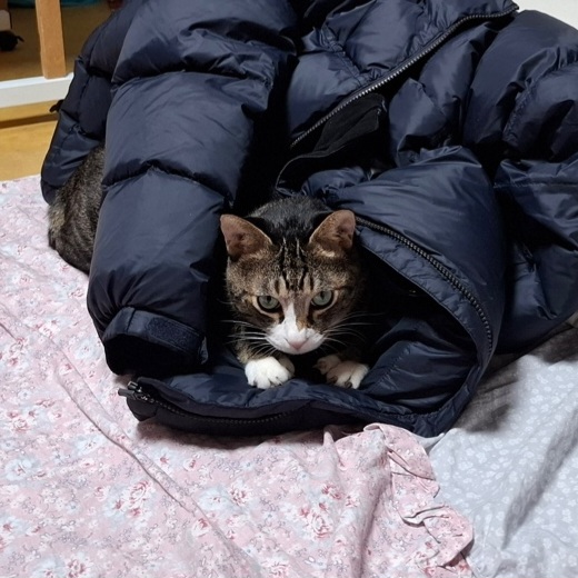 첨부파일