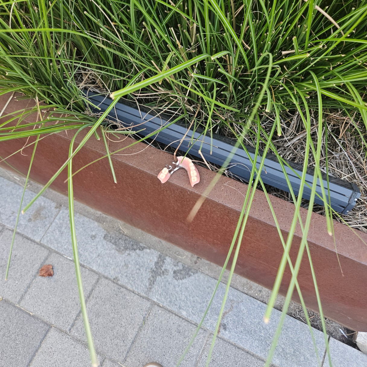 오잉또잉