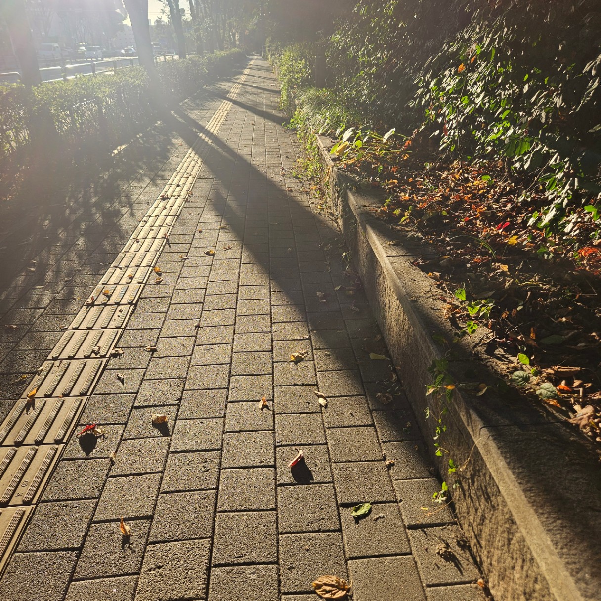 🌞
